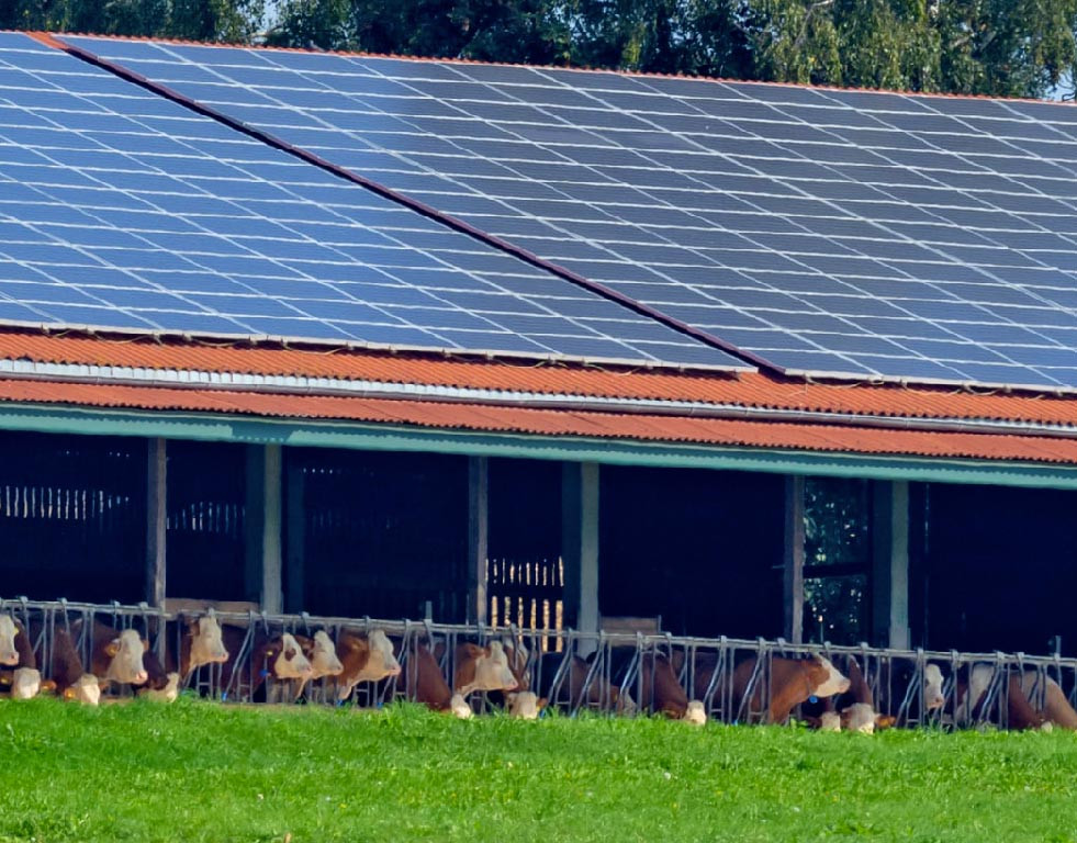 découvrez comment les bâtiments agricoles solaires révolutionnent l'agriculture durable. profitez d'une efficacité énergétique optimale et d'une réduction des coûts tout en préservant l'environnement. explorez les innovations qui transforment le secteur agricole grâce à l'énergie solaire.