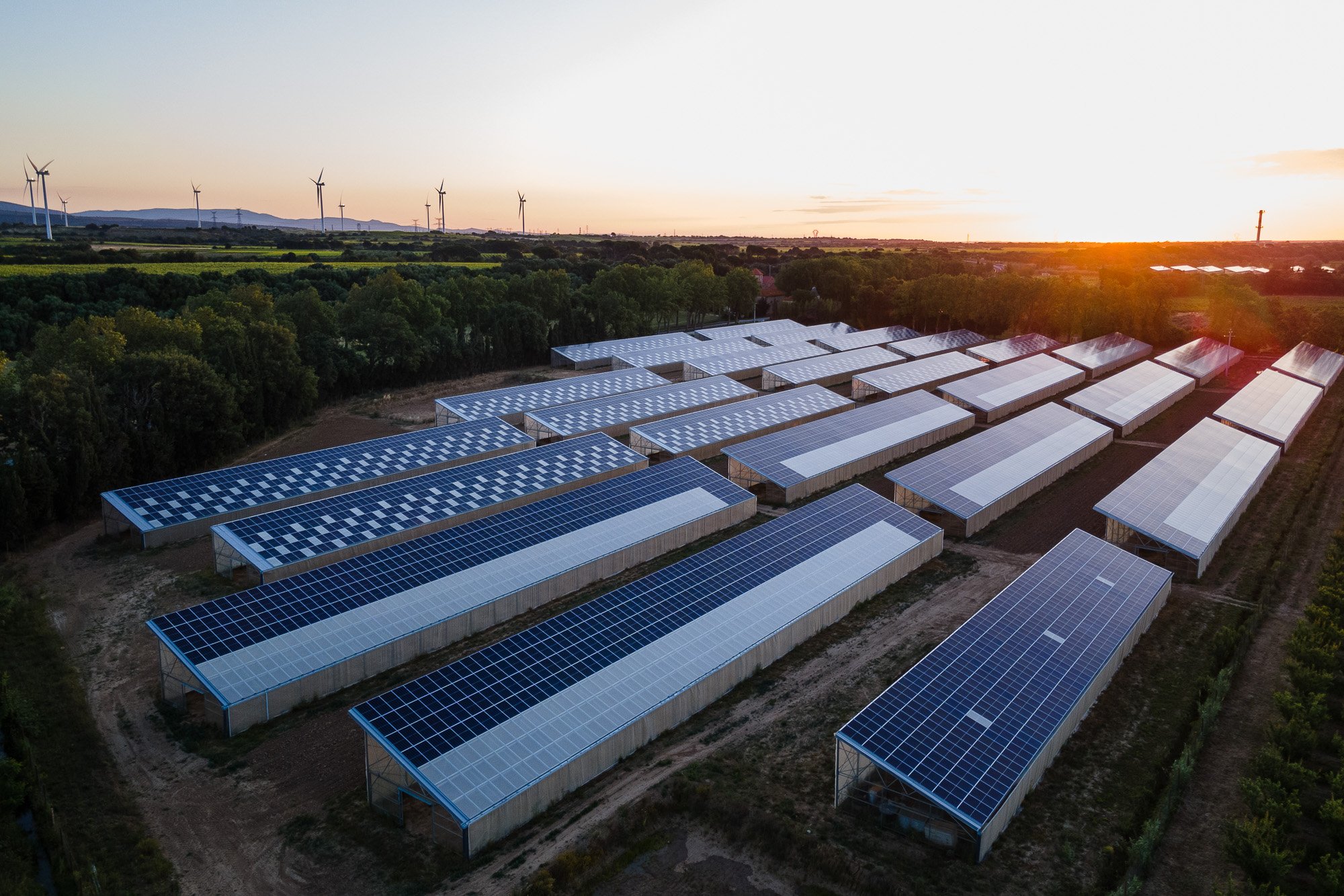 découvrez notre multiprise solaire éco-responsable, un accessoire innovant et durable qui vous permet de brancher plusieurs appareils tout en réduisant votre empreinte carbone. profitez d'une énergie propre et renouvelable, tout en contribuant à la préservation de l'environnement. idéale pour les amateurs de développement durable!