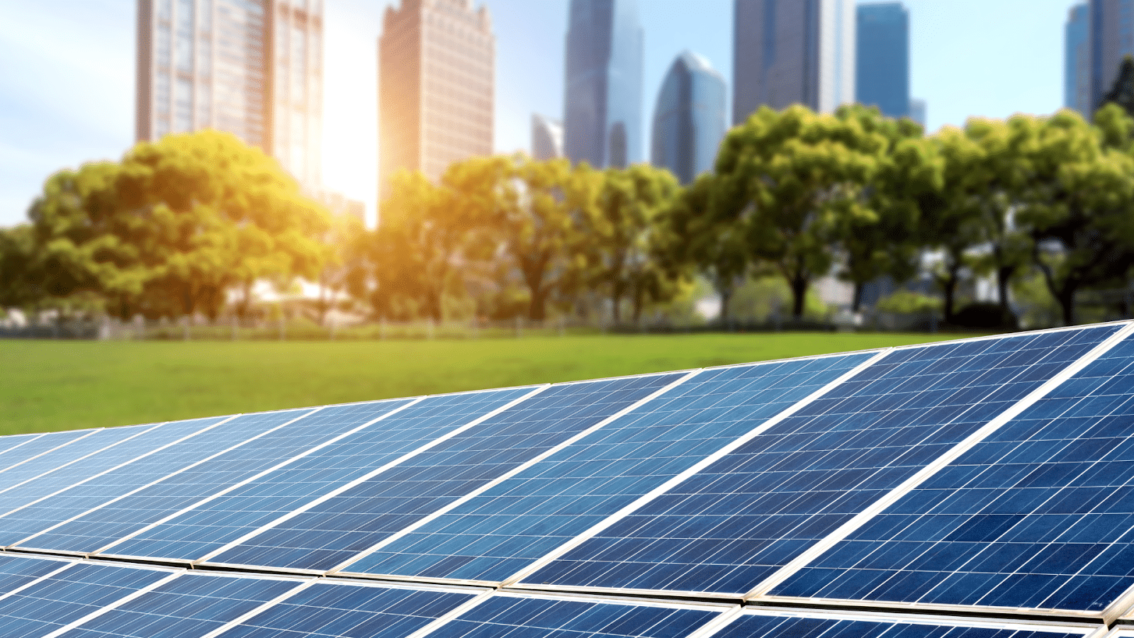 découvrez notre comparatif complet des panneaux solaires trina solar. comparez les caractéristiques, les performances et les prix des différents modèles pour faire le choix le plus adapté à vos besoins en énergie solaire.