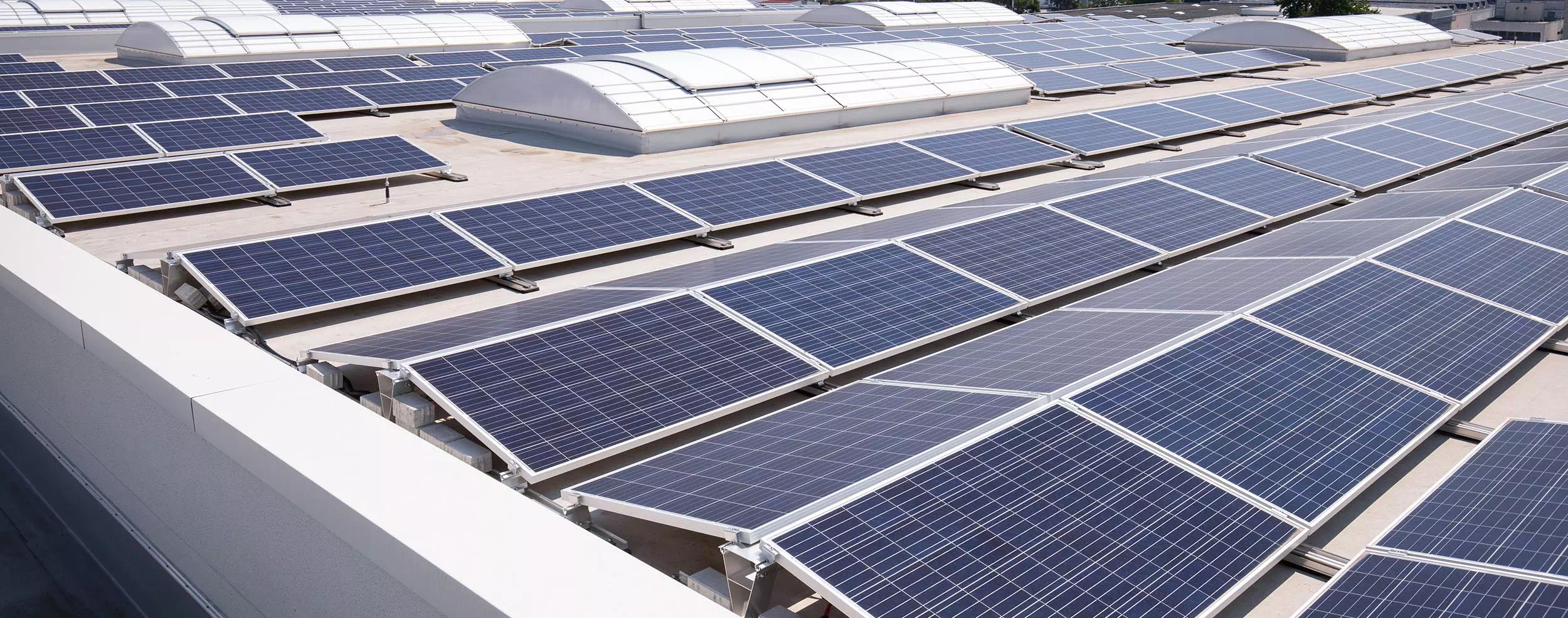 découvrez les nombreux avantages d'investir dans un projet solaire pour votre entreprise. réduction des coûts énergétiques, valorisation de votre image de marque, et contribution à la protection de l'environnement sont quelques-uns des bénéfices d'une transition vers l'énergie solaire. informez-vous sur les opportunités durables qui s'offrent à vous.
