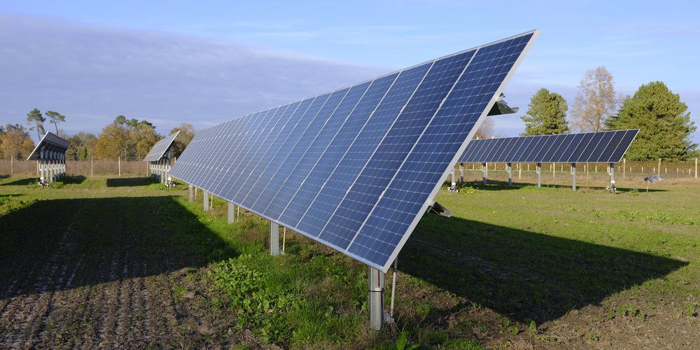 découvrez les projets solaires communautaires, une initiative innovante qui permet aux collectivités de produire leur propre énergie renouvelable. engagez-vous pour un avenir durable et participez à la transition énergétique tout en réduisant vos factures d'électricité. rejoignez le mouvement vers une énergie verte et solidaire !