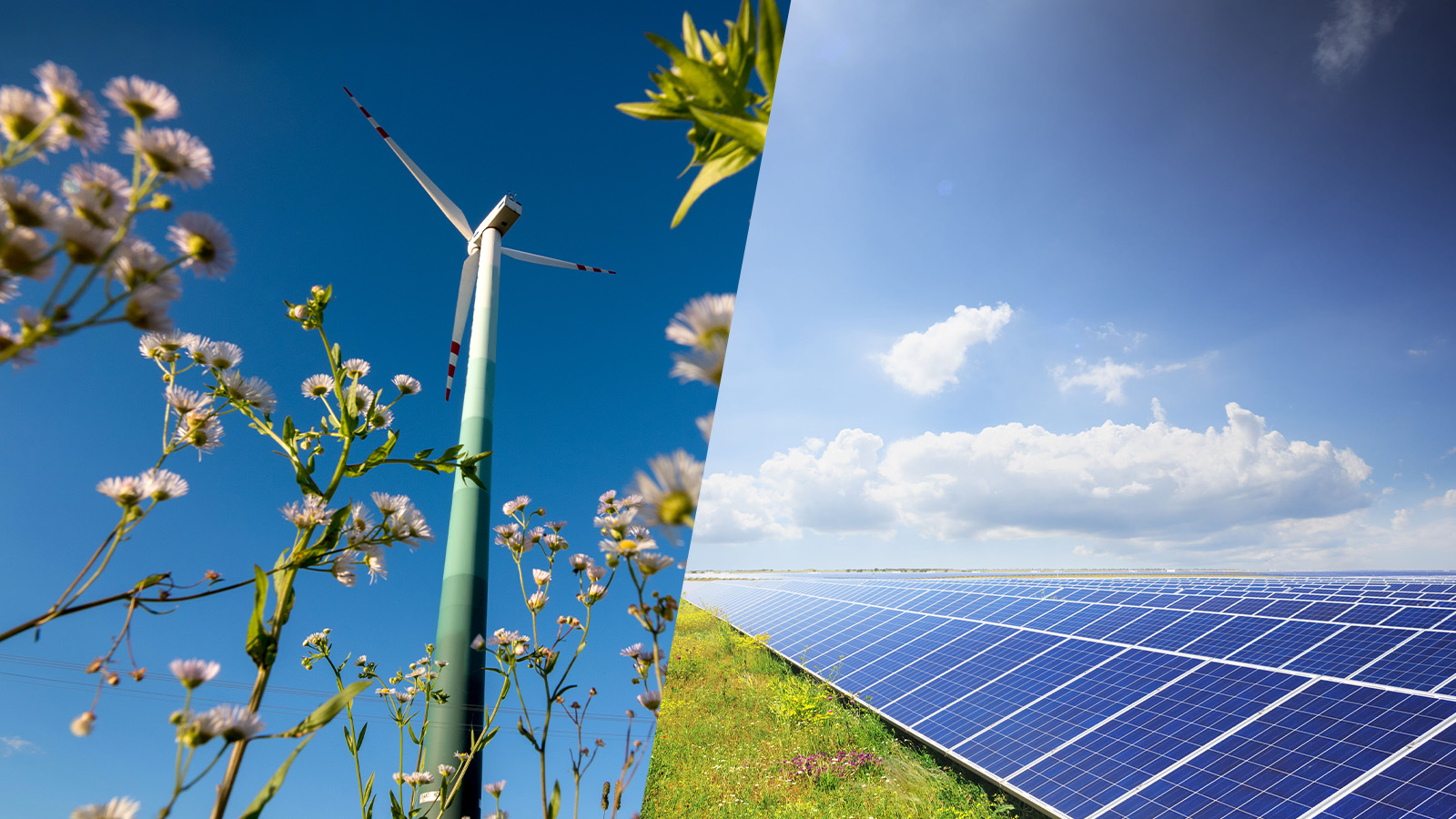 découvrez comment notre entreprise spécialisée dans le solaire durable contribue à un avenir plus vert grâce à des solutions énergétiques innovantes et respectueuses de l'environnement. rejoignez le mouvement vers une énergie renouvelable et responsable.