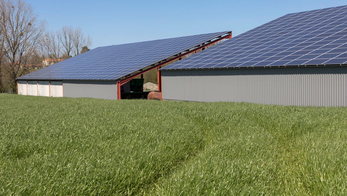 découvrez les avantages du photovoltaïque agricole en 2020 : une solution durable pour optimiser la production énergétique des exploitations agricoles, réduire les coûts et contribuer à la transition énergétique.