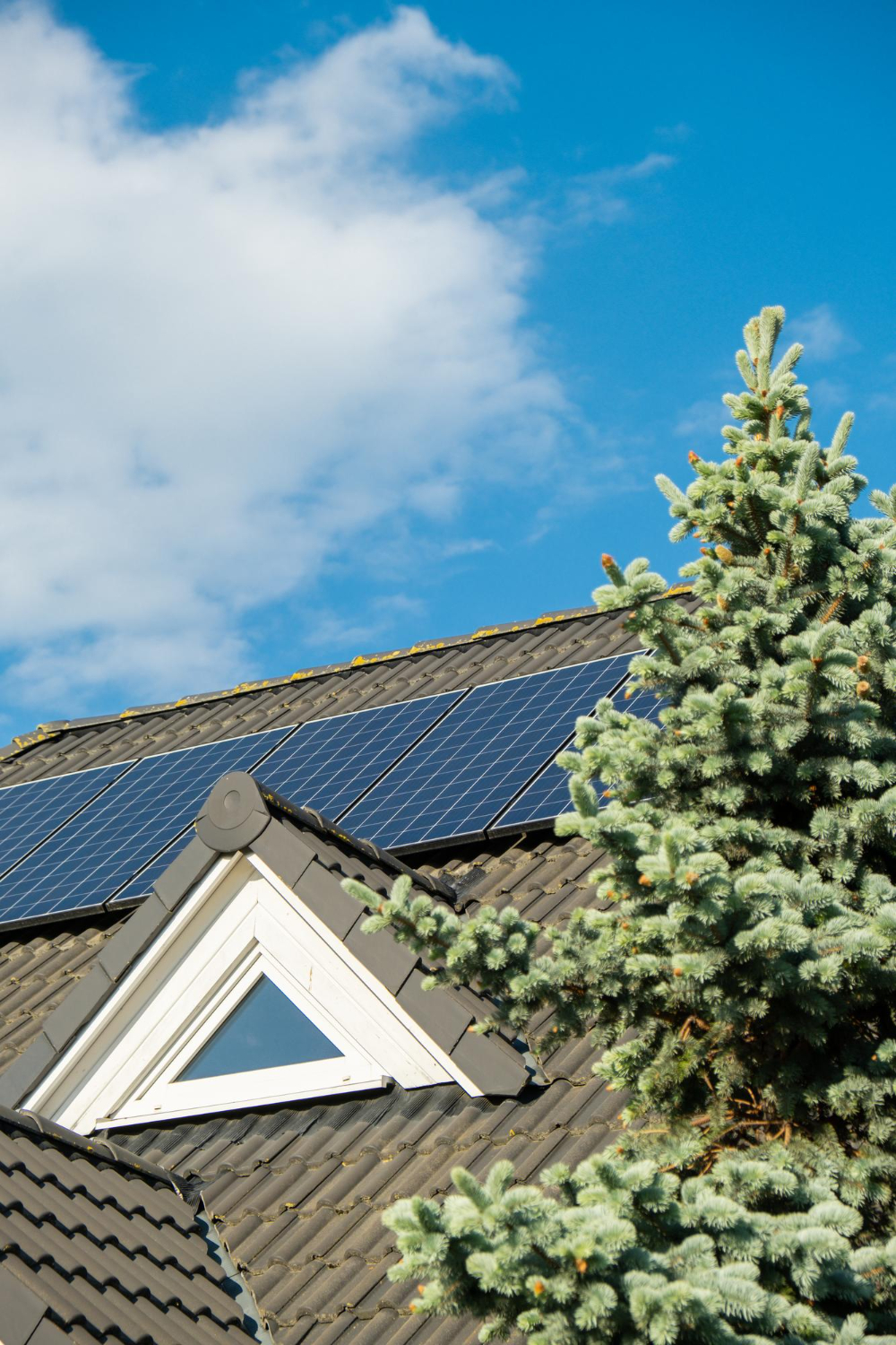 découvrez les nombreux avantages des panneaux photovoltaïques pour les entreprises à lyon. augmentez votre autonomie énergétique, réduisez vos coûts d'électricité et contribuez à la transition énergétique tout en bénéficiant d'aides financières et d'un retour sur investissement rapide.