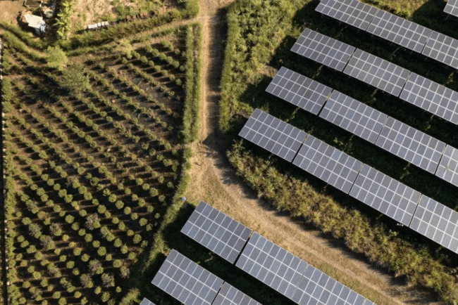 découvrez l'importance des panneaux solaires dans le secteur éducatif. apprenez comment l'énergie solaire transforme les écoles, favorise l'éducation à la durabilité et prépare les générations futures à un avenir respectueux de l'environnement.