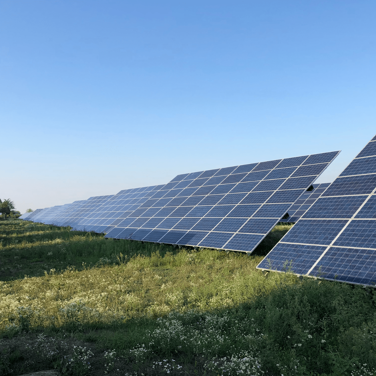 découvrez comment l'investissement dans des panneaux photovoltaïques peut réduire vos factures d'énergie tout en contribuant à la protection de l'environnement. profitez des avantages fiscaux et valorisez votre patrimoine grâce à des solutions énergétiques durables.