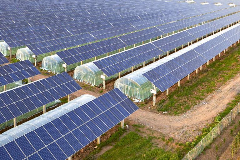 découvrez comment optimiser vos panneaux solaires pour maximiser leur efficacité et augmenter votre production d'énergie. conseils pratiques et astuces pour profiter pleinement de votre installation solaire.