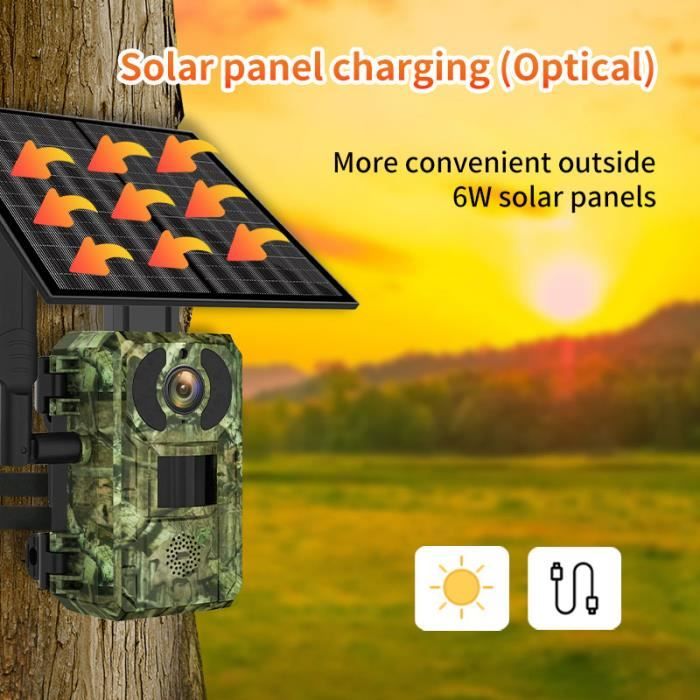 découvrez notre caméra de chasse solaire, idéale pour capturer des images impressionnantes de la faune tout en utilisant une source d'énergie renouvelable. parfaitement adaptée pour les amoureux de la nature, cette caméra allie performance et respect de l'environnement.