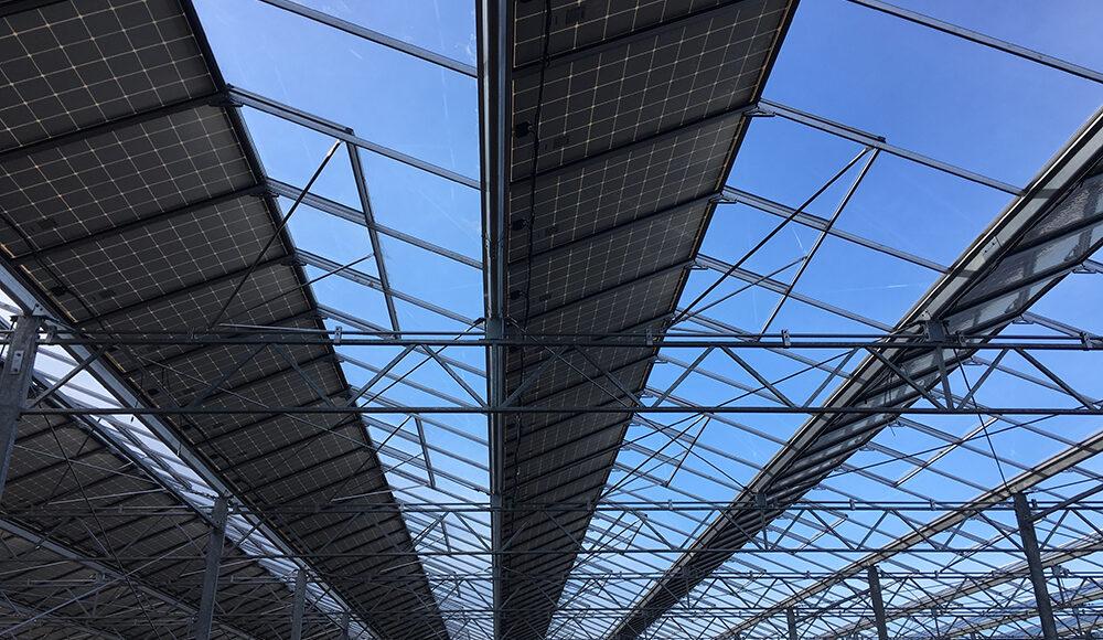 découvrez les serres solaires, une solution innovante pour cultiver des plantes tout en optimisant l'énergie solaire. apprenez comment ces structures écologiques maximisent la production tout en respectant l'environnement.