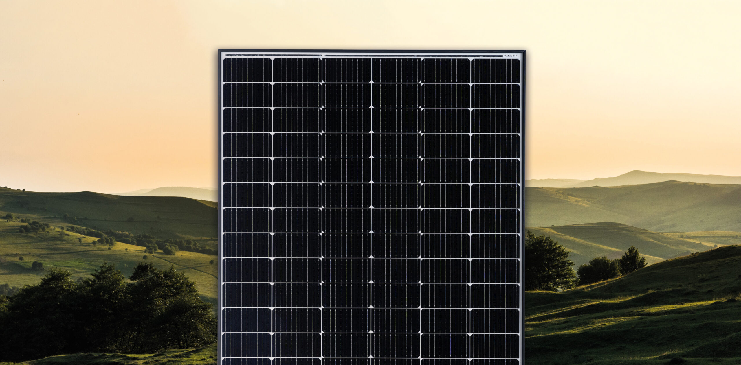 découvrez comment établir un partenariat efficace avec des ong pour promouvoir l'utilisation des panneaux solaires. apprenez les avantages d'unir vos forces pour soutenir le développement durable et réduire l'empreinte carbone grâce à des initiatives solaires.