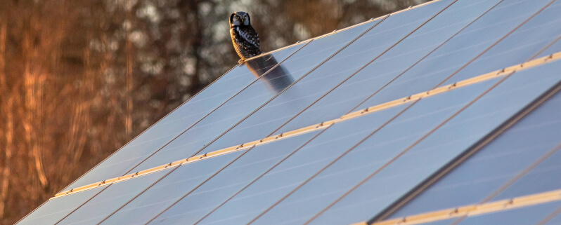 découvrez les avantages des panneaux solaires en entreprise : réduction des coûts énergétiques, valorisation de l'image écoresponsable, et indépendance énergétique. optez pour une solution durable qui booste votre compétitivité tout en préservant l'environnement.