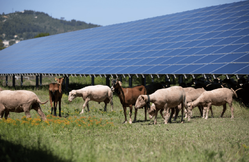 découvrez les solutions écologiques d'edf pour l'installation de panneaux solaires. profitez d'une énergie renouvelable, réduisez vos factures d'électricité et contribuez à la transition énergétique. informez-vous dès maintenant sur nos offres et services.