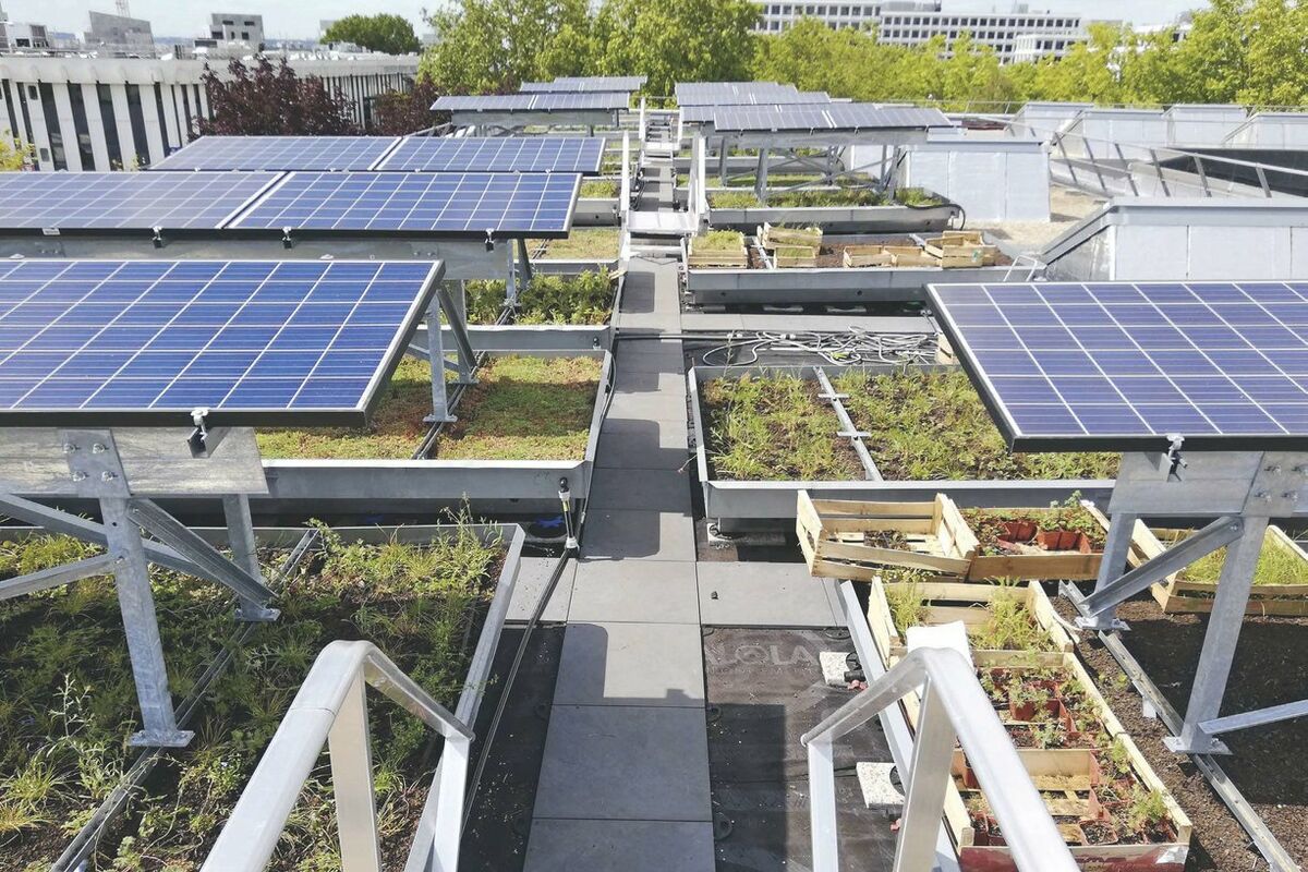 découvrez comment les toitures photovoltaïques peuvent transformer vos industries en sources d'énergie durables. maximisez votre efficacité énergétique tout en réduisant votre empreinte carbone grâce à des solutions innovantes et performantes adaptées aux besoins industriels.