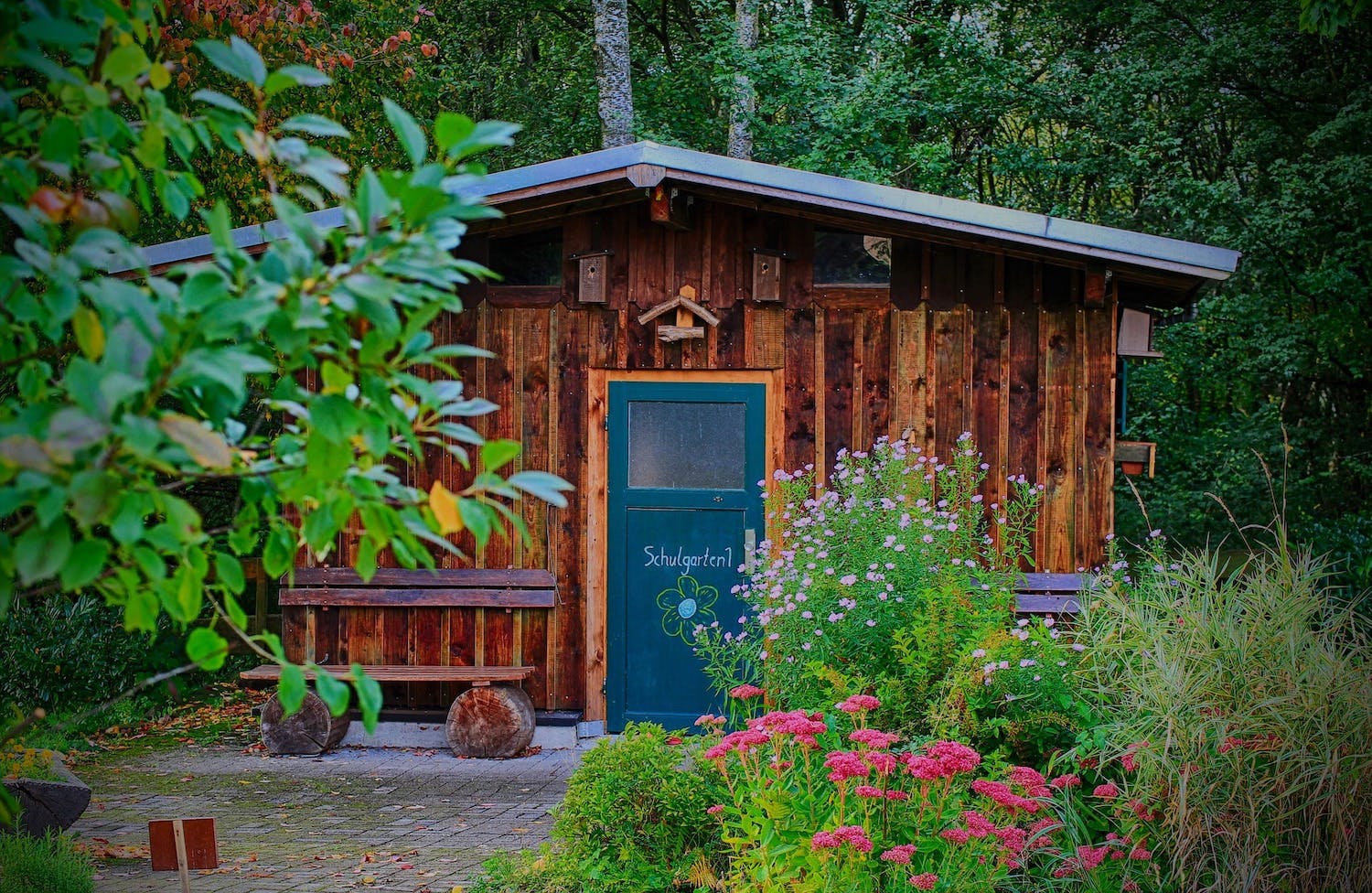 découvrez notre sélection d'abris en bois, parfaits pour protéger vos outils de jardin ou créer un espace de vie extérieur. alliant esthétique et fonctionnalité, nos abris en bois s'intègrent harmonieusement dans votre jardin tout en offrant une durabilité exceptionnelle. optez pour la qualité et la simplicité avec nos abris en bois au design moderne.