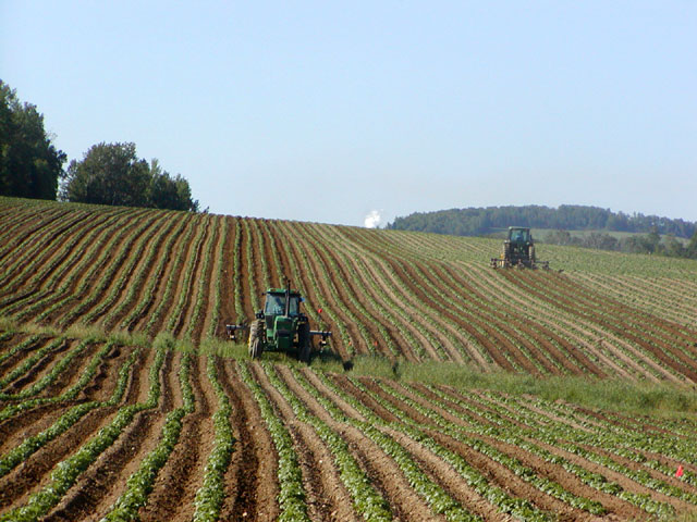 découvrez le monde fascinant de l'agriculture, une activité essentielle qui façonne notre alimentation et notre environnement. plongez dans les techniques cultivées, les innovations durables et l'impact de l'agriculture sur notre quotidien.