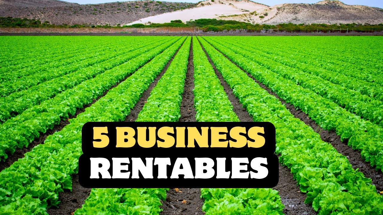 découvrez des stratégies et des pratiques d'agriculture rentable pour maximiser vos profits tout en respectant l'environnement. apprenez à optimiser vos cultures, à investir intelligemment et à tirer parti des technologies modernes pour réussir dans le secteur agricole.