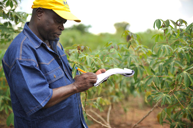 découvrez comment maximiser vos profits avec des techniques innovantes et durables dans le domaine de l'agriculture rentable. apprenez des stratégies efficaces pour optimiser vos cultures et garantir un revenu constant.
