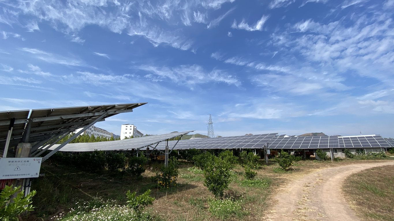 découvrez agrisolaire, la solution innovante qui combine agriculture et énergie solaire pour optimiser la production agricole tout en préservant l'environnement. transformez votre exploitation avec des technologies durables pour un avenir plus vert.