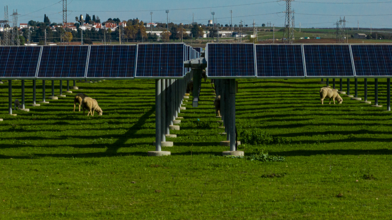 découvrez agrisolaire, une plateforme innovante dédiée à la promotion de l'agriculture solaire. explorez des solutions durables qui allient production agricole et énergie renouvelable, contribuant ainsi à un avenir plus vert et productif.