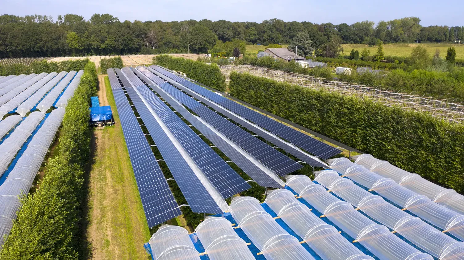 découvrez l'agro pv, une solution innovante alliant agriculture et production d'énergie solaire. optimisez vos cultures tout en générant de l'électricité durable grâce à des panneaux photovoltaïques intégrés. transformez votre exploitation agricole en un modèle d'efficacité énergétique et de durabilité.