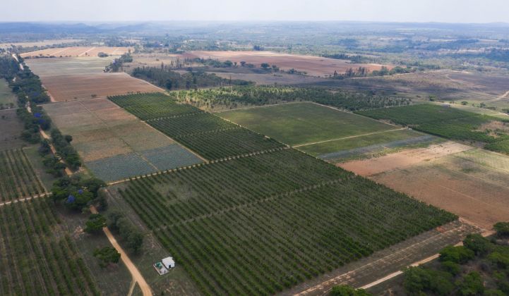 découvrez les avantages de l'agro pv, une solution innovante alliant agriculture et production d'énergie photovoltaïque. optimisez vos terres tout en contribuant à la transition écologique grâce à une intégration harmonieuse de cultures et de panneaux solaires.