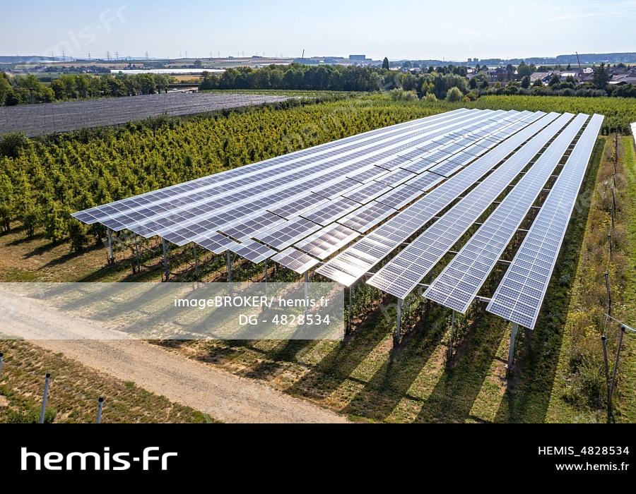 découvrez l'agrophotovoltaïque, une innovation durable qui allie agriculture et énergie solaire. optimisez vos cultures tout en produisant de l'électricité, réduisez votre empreinte carbone et participez à la transition énergétique.