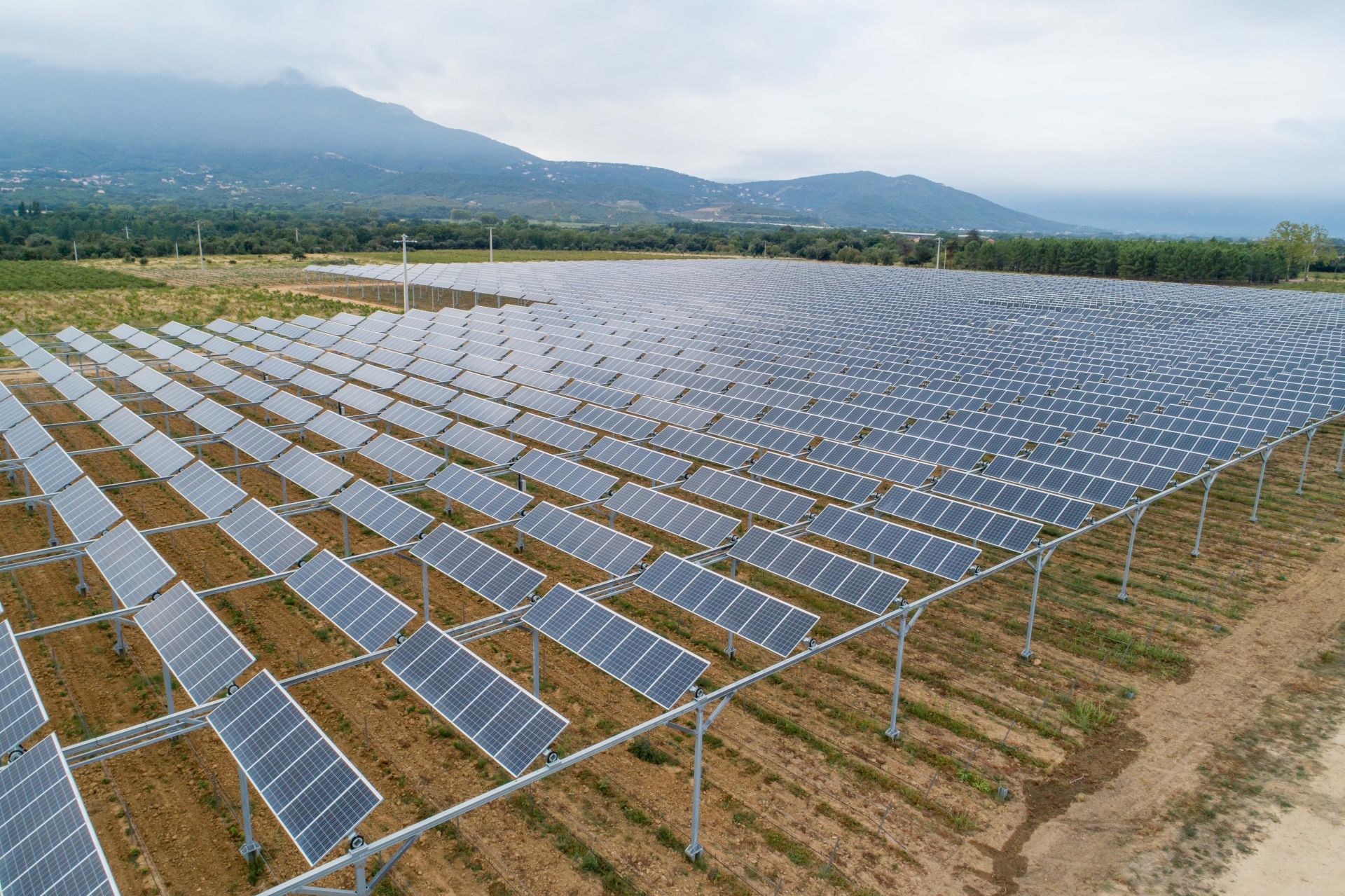 découvrez l'agrophotovoltaïque, une solution innovante alliant agriculture et production d'énergie solaire. apprenez comment cette technologie durable optimise les surfaces agricoles tout en générant de l'électricité, favorisant une agriculture plus respectueuse de l'environnement.