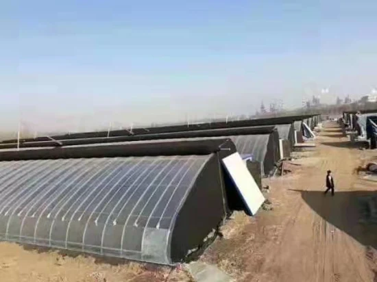 découvrez l'agrophotovoltaïque, une solution innovante alliant agriculture et production d'énergie solaire. maximisez l'utilisation des terres tout en préservant l'environnement, en cultivant des aliments tout en générant de l'électricité durable. explorez les avantages économiques et écologiques de cette approche novatrice qui révolutionne le secteur agricole.