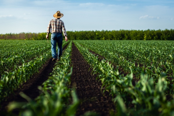 découvrez des ressources et des conseils pratiques pour soutenir les agriculteurs dans leur quotidien. que vous soyez un professionnel du secteur ou un passionné d'agriculture, notre plateforme vous offre des solutions innovantes pour améliorer vos techniques de culture, gérer votre exploitation et optimiser votre production.