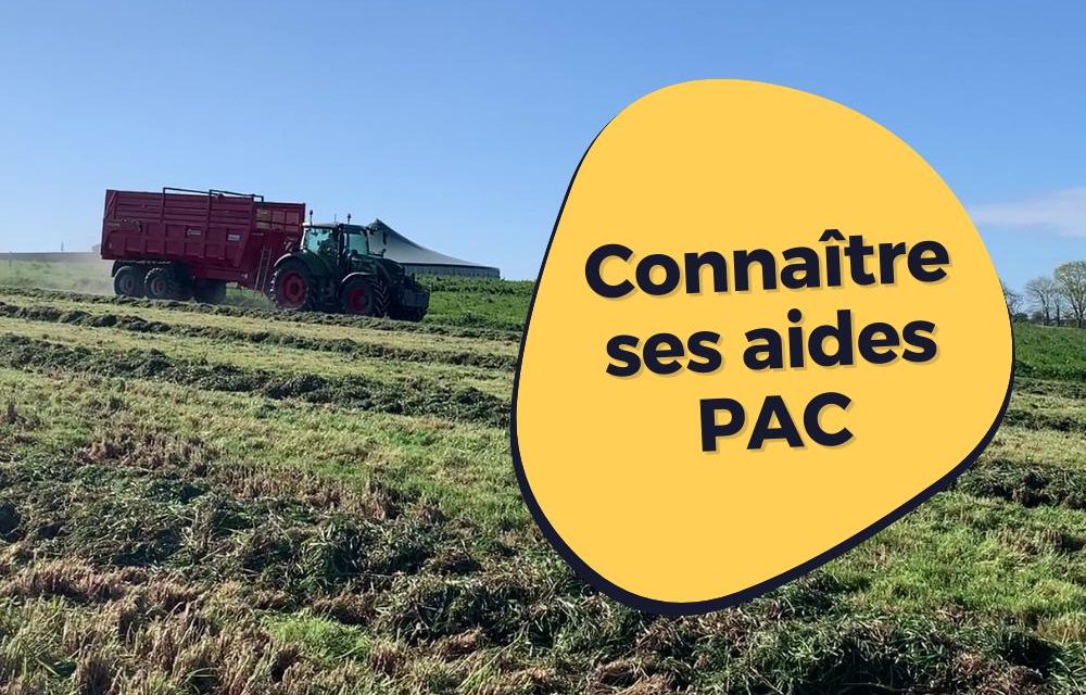 découvrez des ressources et des conseils pratiques pour soutenir les agriculteurs dans leur quotidien. bénéficiez d'une aide adaptée aux enjeux agricoles modernes et améliorez vos compétences grâce à des formations et des services dédiés.