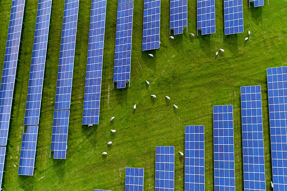 découvrez notre appel d'offres pour un projet photovoltaïque innovant. participez à la transition énergétique en proposant vos solutions pour une énergie propre et durable. ne manquez pas cette opportunité de contribuer à un avenir respectueux de l'environnement.