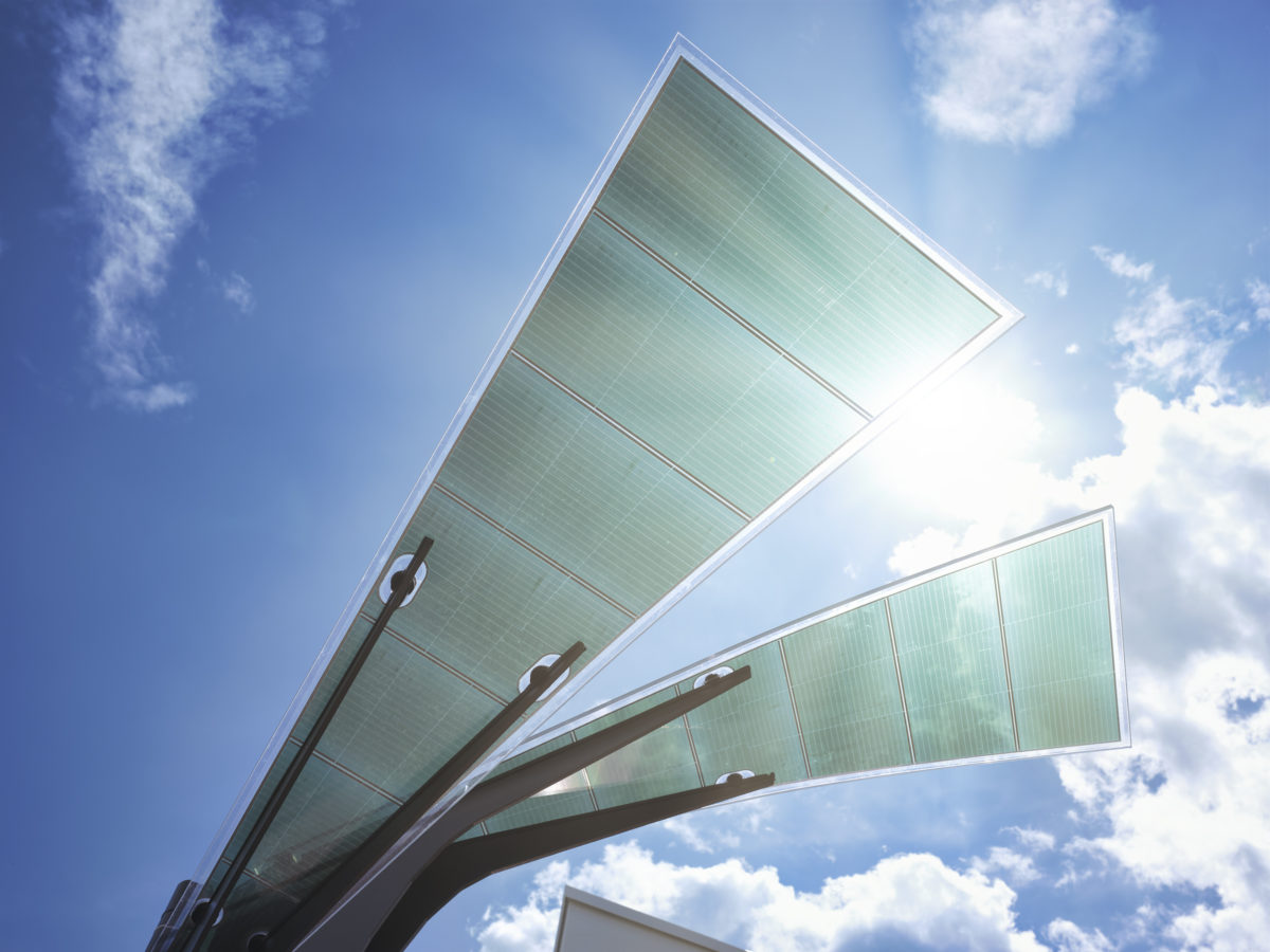 découvrez l'arbre photovoltaïque, une innovation écologique alliant esthétique et production d'énergie renouvelable. parfait pour embellir vos espaces tout en contribuant à la transition énergétique. apprenez-en plus sur ses avantages environnementaux et son fonctionnement.