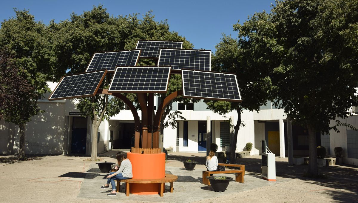 découvrez l'arbre solaire, une innovation révolutionnaire qui combine l'énergie durable et le design naturel. idéal pour alimenter vos espaces extérieurs, cet arbre photovoltaïque capte la lumière du soleil pour fournir une énergie propre, tout en embellissant votre environnement. optez pour une solution éco-responsable et esthétique qui participe à la transition énergétique.