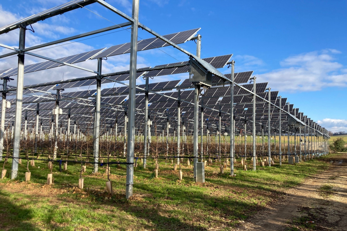découvrez les arbres solaires, une innovation écologique qui allie design et fonctionnalité. transformez votre espace extérieur en une oasis moderne tout en produisant de l'énergie renouvelable. idéal pour les parcs, jardins ou espaces urbains, ces arbres intelligents offrent une solution esthétique et durable aux besoins énergétiques de notre époque.