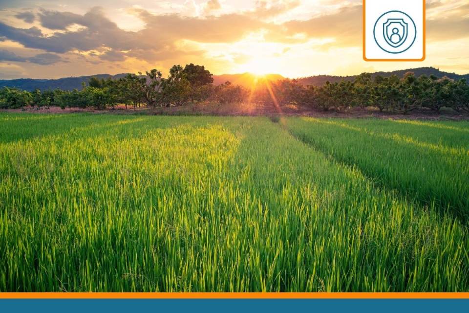 découvrez notre assurance bâtiment agricole, conçue pour protéger vos infrastructures et vos investissements. bénéficiez d'une couverture adaptée aux spécificités du secteur agricole, garantissant sécurité et tranquillité d'esprit pour vos activités.