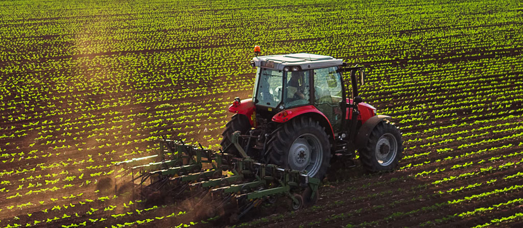 découvrez notre assurance bâtiment agricole, conçue pour protéger vos structures agricoles contre les aléas du climat et les dommages matériels. bénéficiez d'une couverture complète adaptée aux besoins spécifiques de votre exploitation et sécurisez votre investissement tout en garantissant la continuité de votre activité.