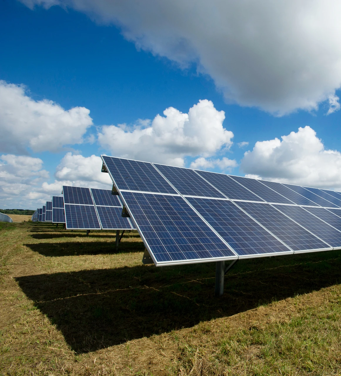 découvrez comment l'assurance panneaux solaires peut protéger votre investissement contre les risques liés aux installations photovoltaïques. obtenez des conseils pour choisir la meilleure couverture et sécuriser votre production d'énergie solaire.