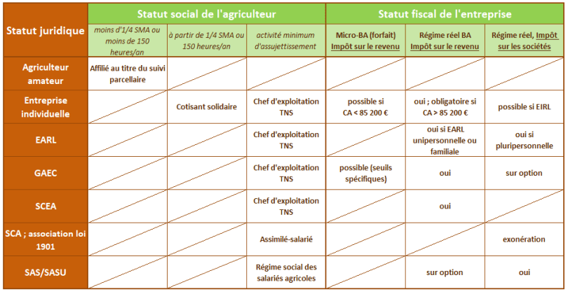 découvrez comment devenir auto-entrepreneur agricole : les étapes à suivre, les avantages, et les conseils pour réussir dans ce secteur en pleine expansion.