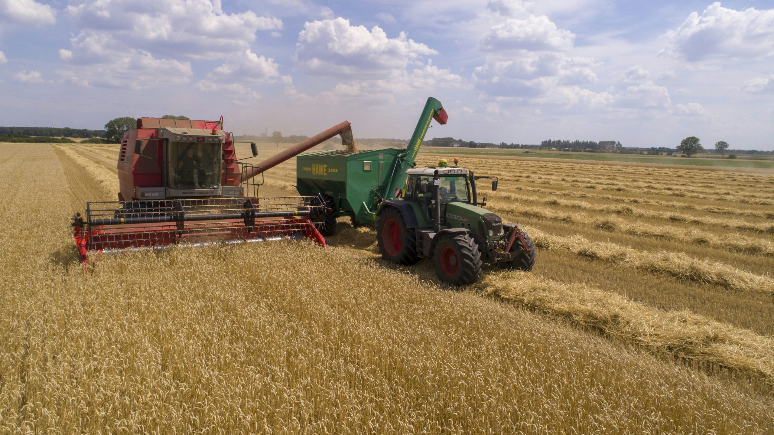 découvrez comment devenir auto-entrepreneur agricole et tirer profit de votre passion pour l'agriculture. informez-vous sur les démarches administratives, les avantages fiscaux et les conseils pratiques pour réussir dans ce secteur en pleine expansion.