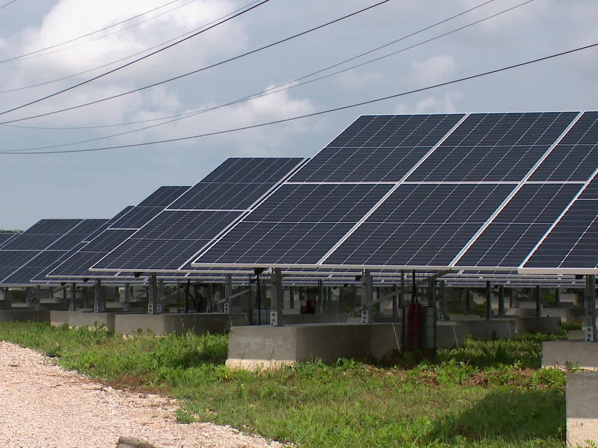 découvrez comment l'autonomie citoyenne s'articule autour de l'utilisation des panneaux solaires, favorisant une énergie durable et un mode de vie respectueux de l'environnement. explorez des solutions innovantes et engageantes pour une transition énergétique réussie.