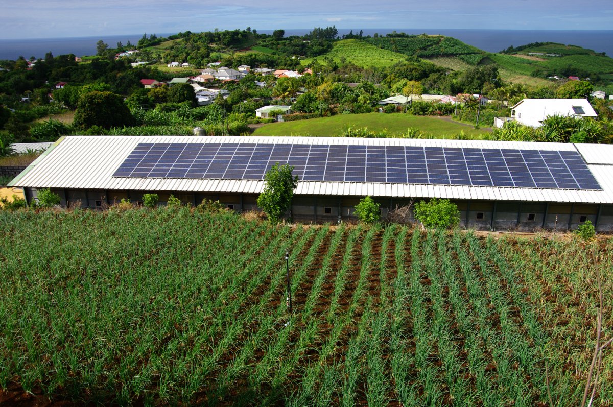 découvrez comment atteindre l'autonomie énergétique grâce à des solutions durables et innovantes. explorez les avantages de l'énergie renouvelable et les stratégies pour réduire votre dépendance aux sources d'énergie traditionnelles.