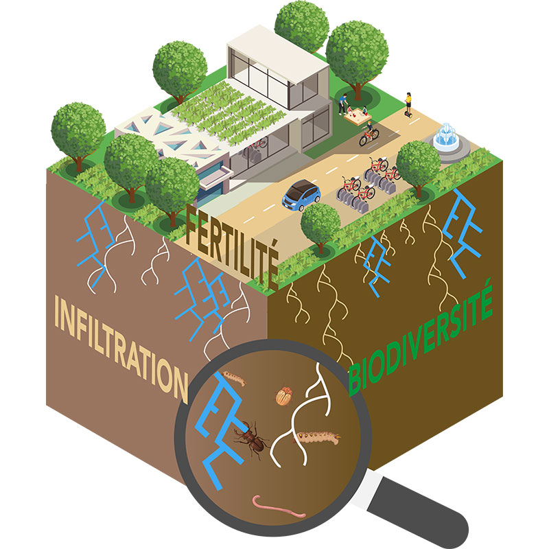 découvrez les nombreux avantages des ecofluos, une solution innovante et respectueuse de l'environnement. améliorez votre efficacité énergétique tout en réduisant votre empreinte carbone grâce à nos produits écologiques.