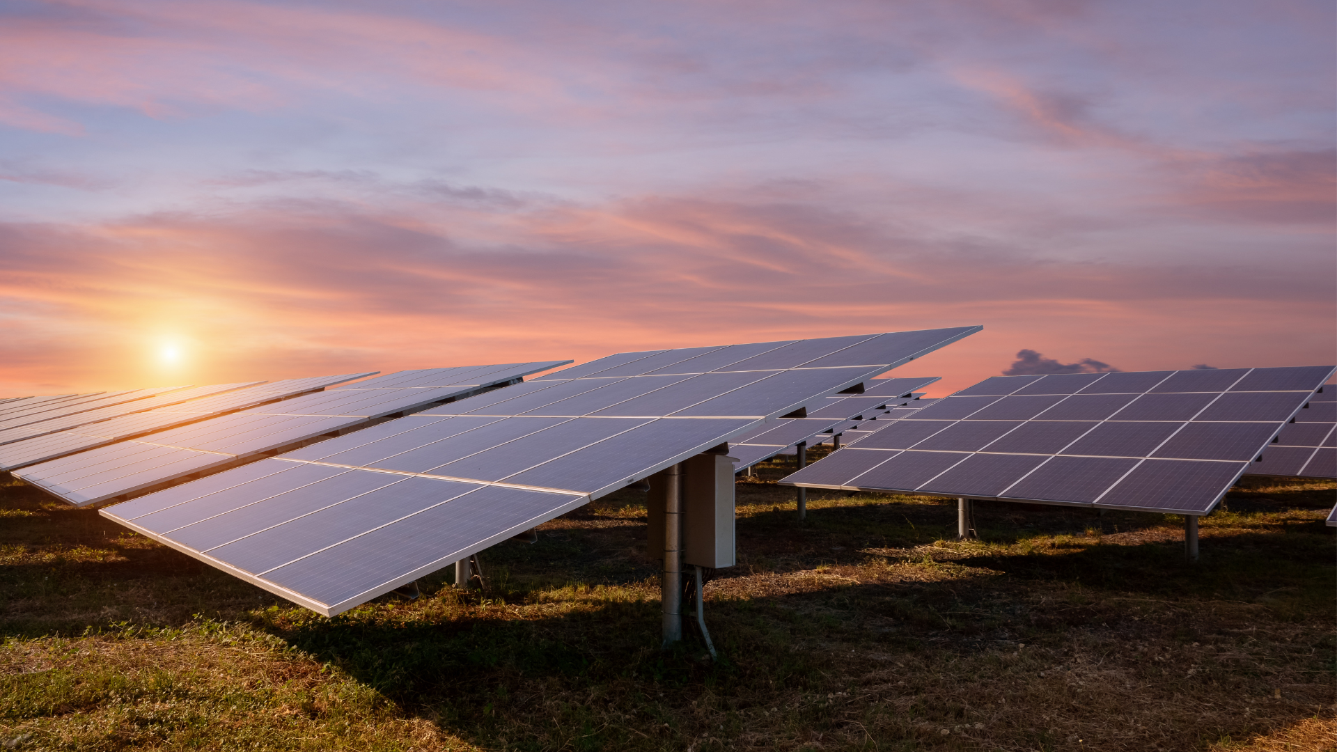 découvrez les nombreux avantages des fermes solaires, notamment leur contribution à la transition énergétique, la réduction des coûts énergétiques, la création d'emplois locaux et leur impact positif sur l'environnement. optez pour une énergie durable et respectueuse de la planète.