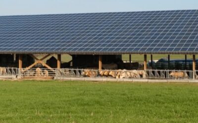 découvrez les nombreux avantages d'un hangar photovoltaïque de 100 kwc : économie sur les coûts d'énergie, réduction de l'empreinte carbone, valorisation de votre espace et contribution à la transition énergétique. optimisez vos ressources tout en soutenant l'environnement avec une solution durable et rentable.
