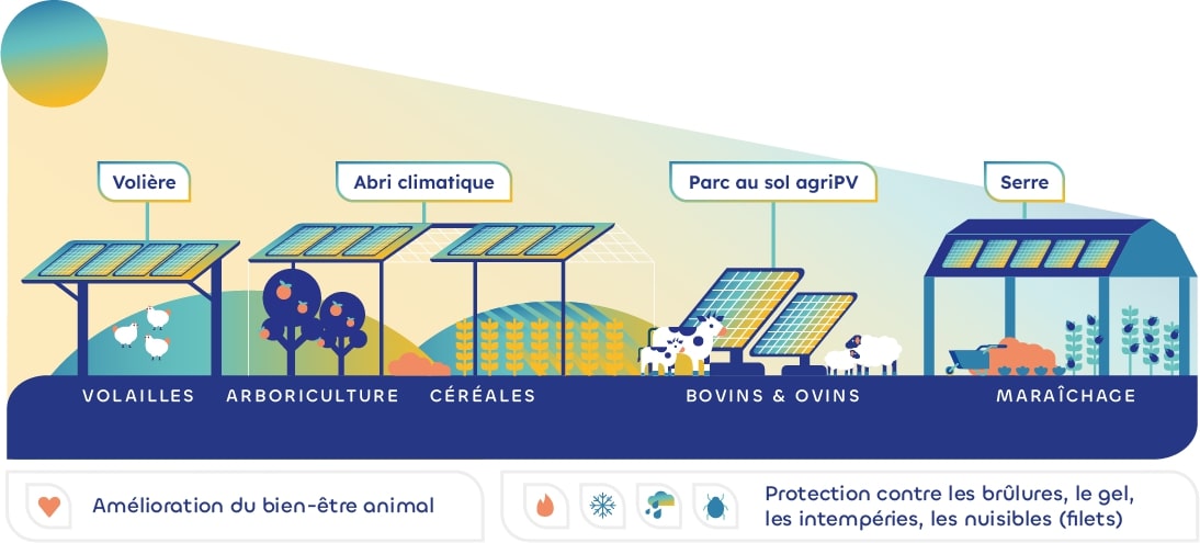 découvrez les nombreux avantages des panneaux photovoltaïques : économies d'énergie, réduction de l'empreinte carbone, autonomie énergétique et valorisation de votre patrimoine. explorez comment cette technologie solaire transforme votre consommation d'électricité en solutions durables et économiquement viables.
