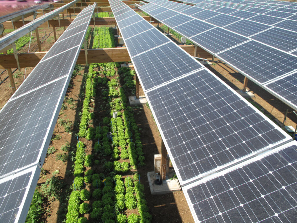 découvrez les nombreux avantages des panneaux solaires à montpellier, une solution écologique et économique pour réduire vos factures d'énergie et contribuer à la transition énergétique. profitez du climat ensoleillé de la région pour maximiser votre production d'énergie renouvelable.