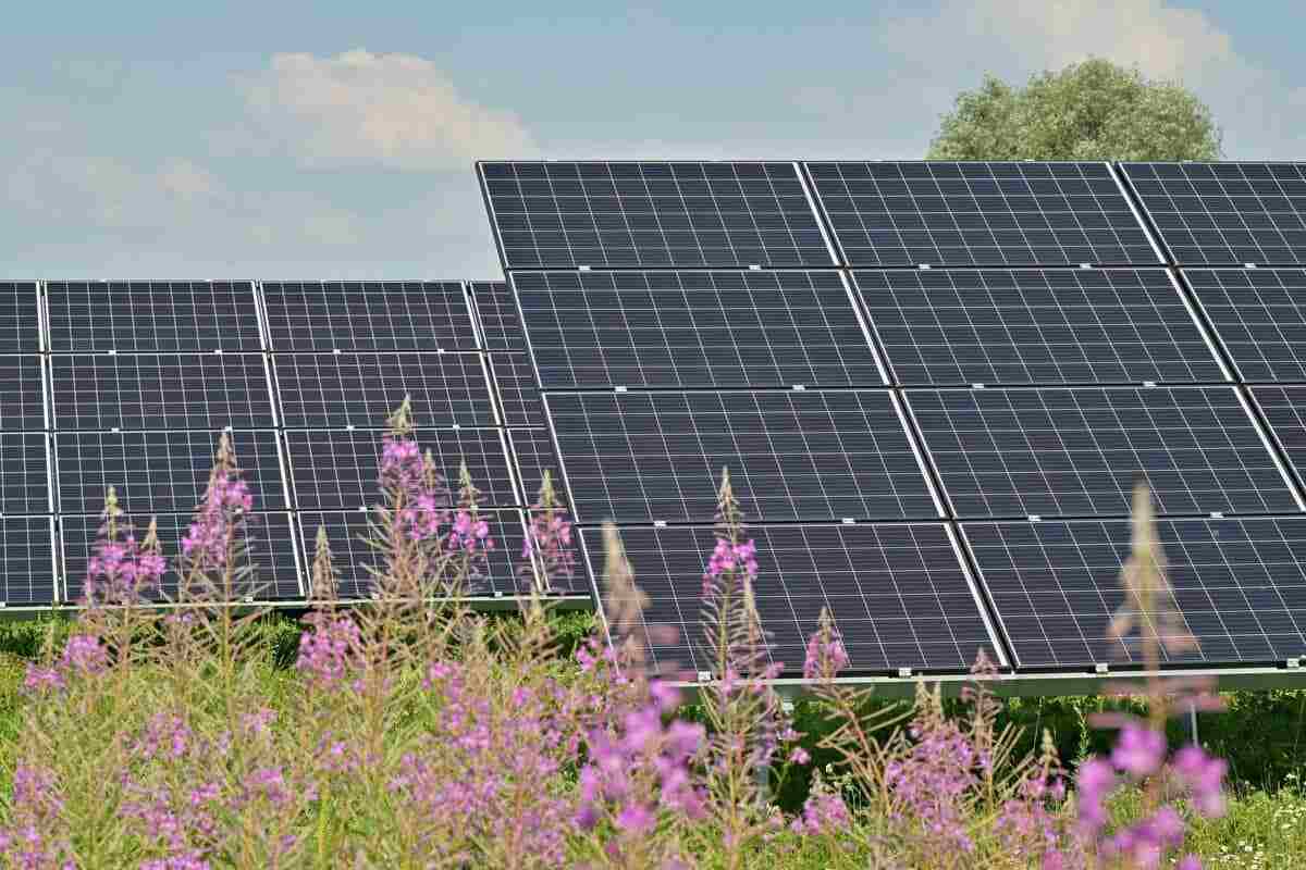 découvrez les nombreux avantages des panneaux photovoltaïques : énergie renouvelable, économies sur vos factures d'électricité, valorisation de votre bien immobilier et impact positif sur l'environnement. optez pour une solution durable et rentable dès aujourd'hui !
