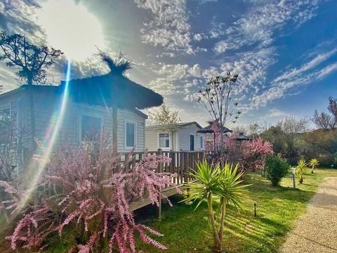 découvrez les nombreux avantages du soleil pour votre santé et bien-être grâce à notre article sur le document soleil doc. profitez des bienfaits de l'exposition au soleil tout en apprenant comment le faire en toute sécurité.