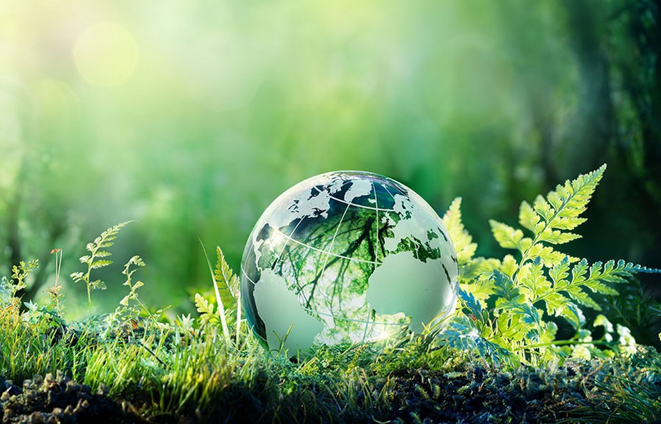 découvrez comment bâtir un avenir durable grâce à des pratiques écoresponsables, des innovations vertes et une consommation consciente. rejoignez le mouvement pour un futur où l'équilibre entre développement économique et respect de l'environnement est à la portée de tous.