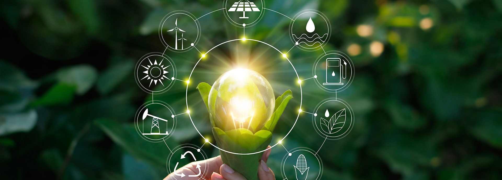 découvrez comment construire un avenir énergétique durable grâce à des solutions innovantes, des technologies vertes et des pratiques responsables. engagez-vous pour un monde plus respectueux de l'environnement et apprenez les meilleures stratégies pour réduire votre empreinte carbone.